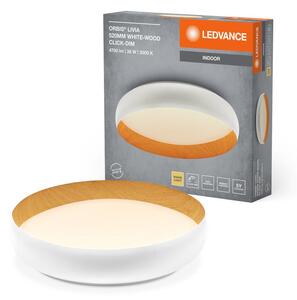 Bílé LED stropní svítidlo 520 mm LIVIA, teplá bílá