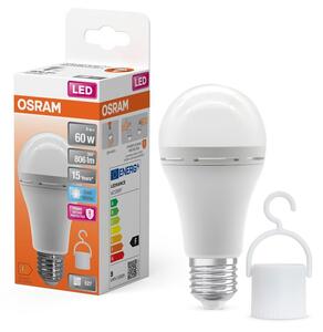 Matná LED žárovka E27 8W CLASSIC A, studená bílá