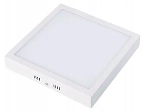 Toolight - Stropní panelová lampa Classic LED - bílá - 048-SW-42C