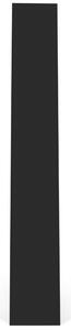 Černý regál TEMAHOME Delta 195 x 263 cm