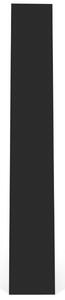 DNYMARIANNE -25% Černý regál TEMAHOME Delta 195 x 97 cm