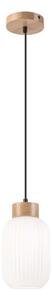 Lustr na lanku HARMONY 1xE27/15W/230V pr. 14 cm bílá/dub