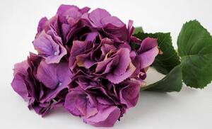 Dekorace fialová hortenzie velkokvětá - 80 cm