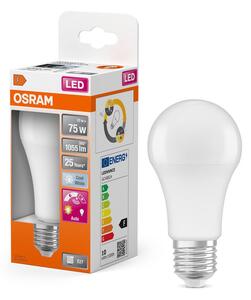 LED žárovka E27 10W STAR+ CLASSIC A75, studená bílá