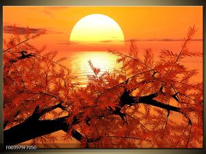 Obraz obraz strom západ slunce abstrakce