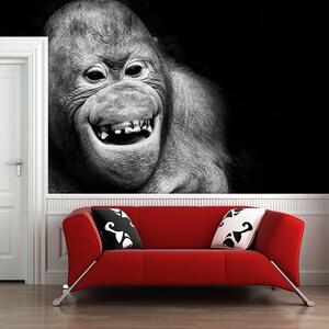 Sablio Tapeta Orangutan - 125x75 cm