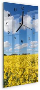 Skleněné hodiny vertikální Pole zsppc-30x60-00173973