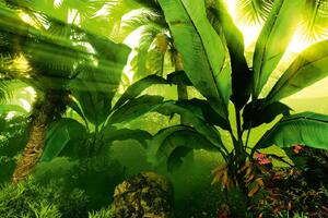DIMEX | Vliesová fototapeta Tropický deštný prales MS-5-1590 | 375 x 250 cm| zelená