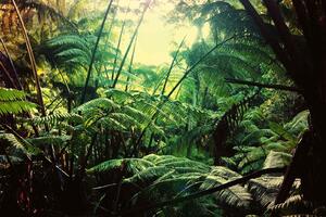 DIMEX | Vliesová fototapeta Džungle na Havaji MS-5-1595 | 375 x 250 cm| zelená