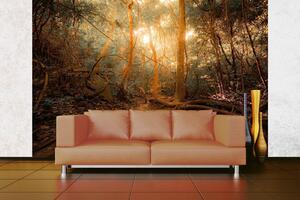 DIMEX | Vliesová fototapeta Tajemná džungle MS-5-1593 | 375 x 250 cm| zelená, oranžová, hnědá