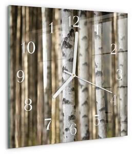Skleněné hodiny Břízy zskb-30x30-00085662