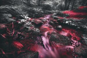 DIMEX | Vliesová fototapeta Rudý proud v džungli MS-5-1608 | 375 x 250 cm| červená, černá, růžová