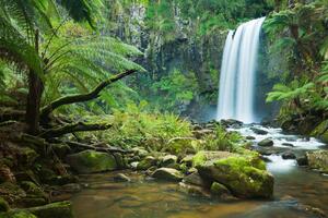 DIMEX | Vliesová fototapeta Vodopád v džungli MS-5-1610 | 375 x 250 cm| zelená, modrá, bílá, hnědá