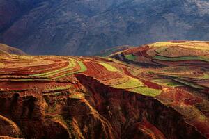 DIMEX | Vliesová fototapeta Barevná terasovitá pole MS-5-1651 | 375 x 250 cm| zelená, červená, oranžová, hnědá