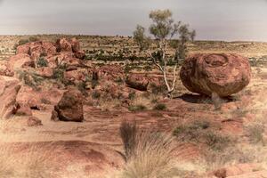 DIMEX | Vliesová fototapeta Australská krajina MS-5-1669 | 375 x 250 cm| zelená, oranžová, šedá
