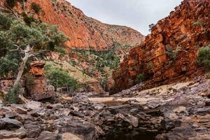 DIMEX | Vliesová fototapeta Australský národní park MS-5-1679 | 375 x 250 cm| zelená, oranžová, šedá