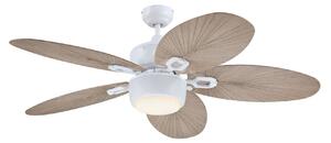 7316440 Stropní ventilátor se světlem, šedý, tichý – Westinghouse Westinghouse, 7316440, Šedá, Obývací pokoj, Plast