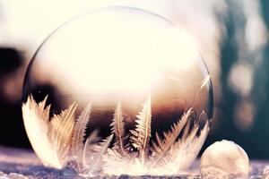 DIMEX | Vliesová fototapeta Zamrzlá bublina MS-5-1726 | 375 x 250 cm| bílá, hnědá