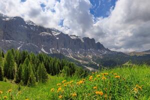 DIMEX | Vliesová fototapeta Letní den v horách MS-5-1800 | 375 x 250 cm| zelená, bílá, šedá