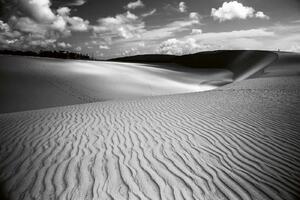 DIMEX | Vliesová fototapeta Vlny v písku MS-5-1833 | 375 x 250 cm| bílá, černá