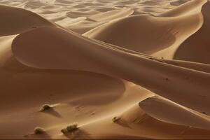 DIMEX | Vliesová fototapeta Saharské duny MS-5-1836 | 375 x 250 cm| krémová, hnědá