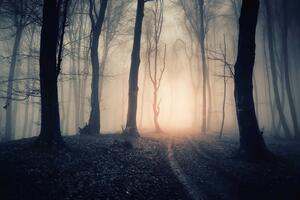 DIMEX | Vliesová fototapeta Magická cesta lesem MS-5-1880 | 375 x 250 cm| fialová, hnědá, růžová