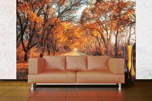 DIMEX | Vliesová fototapeta Cesta podzimní uličkou MS-5-1891 | 375 x 250 cm| oranžová, hnědá, šedá