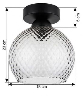 BRILAGI - LED Stropní svítidlo R GLASS 1xE27/60W/230V pr. 18 cm černá/kouř šedá