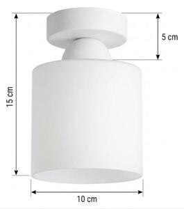 BRILAGI - LED Stropní svítidlo RETRO GLASS 1xE27/60W/230V pr. 10 cm bílá