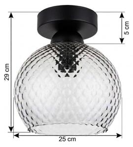 BRILAGI - LED Stropní svítidlo R GLASS 1xE27/60W/230V pr. 25 cm černá/kouř šedá