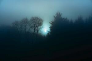 DIMEX | Vliesová fototapeta Mlhavý noční les MS-5-1928 | 375 x 250 cm| zelená, modrá, černá, šedá