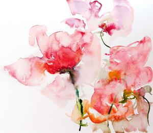DIMEX | Vliesová fototapeta Malba - Květy akvarel MS-5-2043 | 375 x 250 cm| červená, bílá, růžová