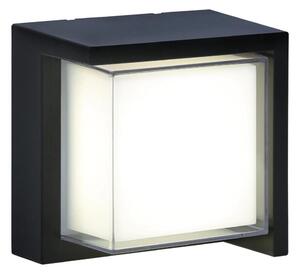 LED Venkovní nástěnné svítidlo ESSEN LED/12W/230V IP44 černá