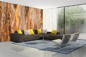 DIMEX | Vliesová fototapeta Textura stromu eukalyptu MS-5-2347 | 375 x 250 cm| oranžová, hnědá