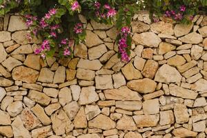 DIMEX | Vliesová fototapeta Kamenná zeď s květy MS-5-2382 | 375 x 250 cm| fialová, hnědá