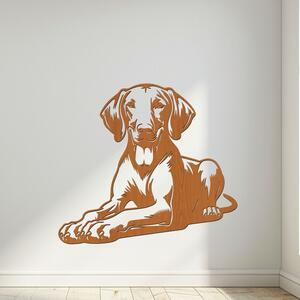 Dřevěná dekorace psa Vizsla | Rozměry (cm): 40x36 | Zvolte barvu dekoru: Třešeň