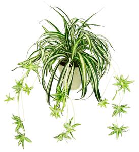 UMĚLÁ ROSTLINA 60 cm - Umělé rostliny, Online Only