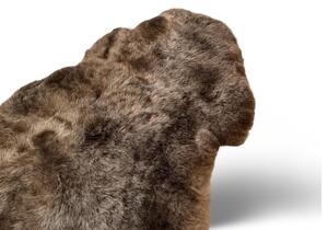 Islandská ovčí kůže, hnědá kaštan, barvená, střižený chlup, velikost II Střižený chlup 5 cm II - 100-110 cm