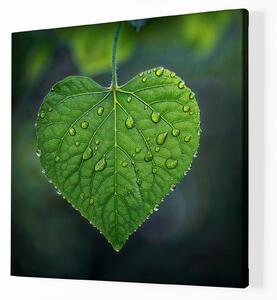 Obraz na plátně - Srdce, zelený lístek FeelHappy.cz Velikost obrazu: 80 x 80 cm