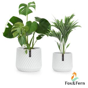 Fox & Fern Heusden, sada 2 květináčů, polyston, vhodný na rostliny, ruční výroba, 3D vzhled