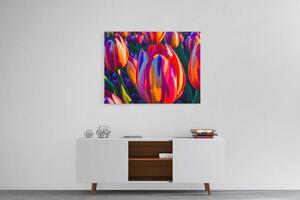 Obraz barevné tulipány