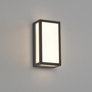 ACB Iluminacion Venkovní LED nástěnné svítidlo LIAM, v. 20 cm, 10W, CRI90, IP65