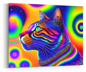 Obraz barevná psychedelická kočka