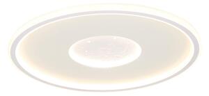 STROPNÍ LED SVÍTIDLO, 50/5 cm Novel - Online Only svítidla, Online Only