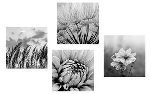 Set obrazů černobílá louka s květinami