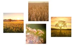 Set obrazů pole při západu slunce