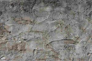 DIMEX | Vliesová fototapeta Betonová stěrka MS-5-2426 | 375 x 250 cm | šedá