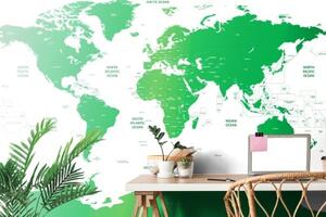 Samolepící tapeta mapa světa s jednotlivými státy v zelené barvě - 450x300 cm