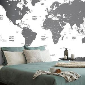 Tapeta mapa světa s jednotlivými státy v šedé barvě - 300x200 cm