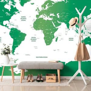 Samolepící tapeta mapa světa s jednotlivými státy v zelené barvě - 375x250 cm